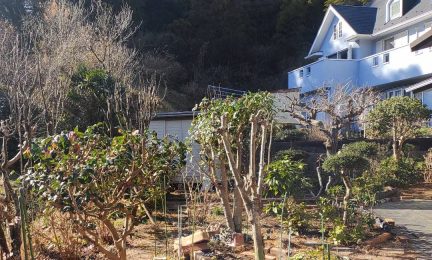 横浜市戸塚区　親族の法要前に庭手入れをお願いします