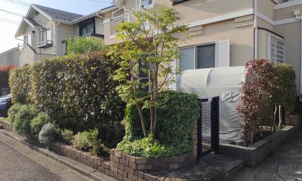 2022.4　横浜市泉区　潮彩庭縁さんは話しができる植木屋さんで助かります。