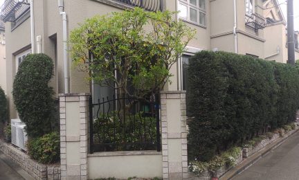 2022.5 横浜市泉区　道路側の枝葉が伸びましたので、刈り込んでください。