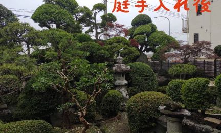 2022.6 横浜市泉区　潮彩庭縁は近所で丁寧な仕事をしていると耳にしました。庭手入れをお願いします。