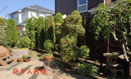 2022.6 茅ケ崎市　毎回お手入れして頂く度にお庭がキレイになって嬉しいです