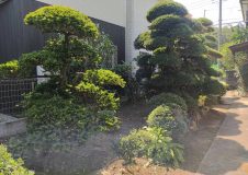 2022.6 横浜市瀬谷区　近所の方から紹介して頂いてから毎年庭手入れを安心して依頼しています