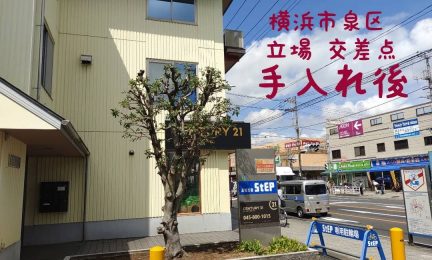 2022.9 横浜市泉区　立場交差点（長後街道）商業ビルのシンボルツリー剪定