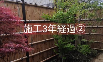 2023.1 横浜市泉区 和を楽しめる坪庭～3年経過写真～