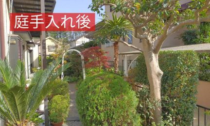 2023.4 横浜市泉区 6年目のご近所様、今年もお庭を整えさせて頂きました。感謝！