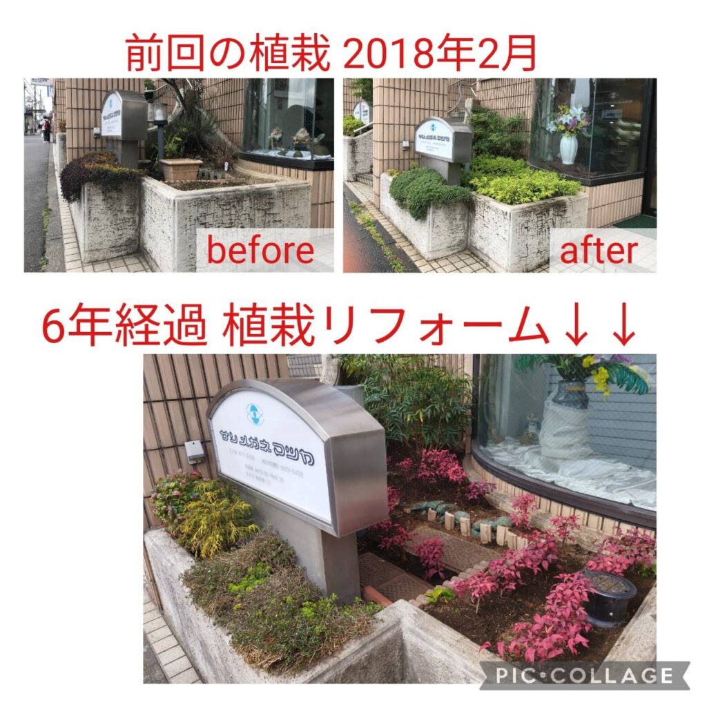 6年振りの花壇の植栽リフォーム（南区/六ッ川眼科医院）