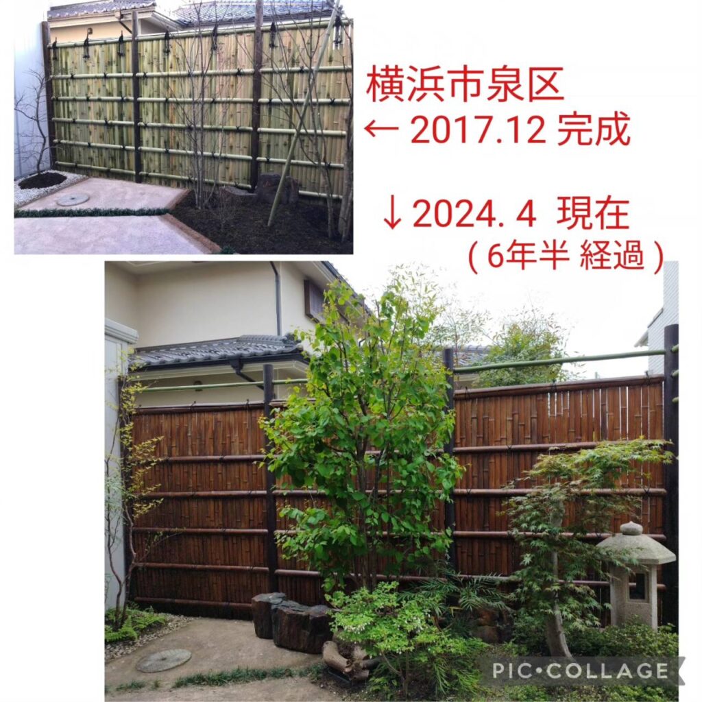 天然素材（庭木・竹・石）で施工した庭 6年半経過